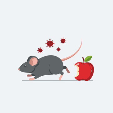 Hanta virus transmission from a mouse running past a bitten apple