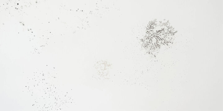 Intricate abstract patterns reminiscent of lichen or frost bloom on a stark white surface, creating a subtle and delicate natural texture, for ui, web, art, design, background, etc.