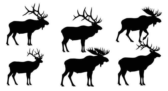 Elk and Moose Silhouettes: Majestic Wildlife Collection