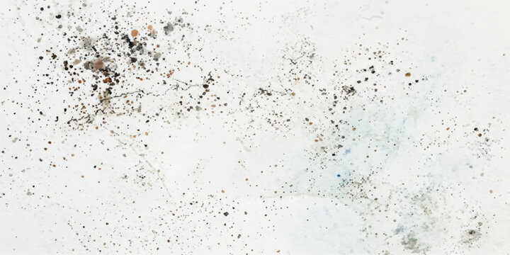 Mold growth on a wall, showing various sizes and colors of spores, suggesting a need for cleaning and remediation. for ui, web, art, design, background, etc.