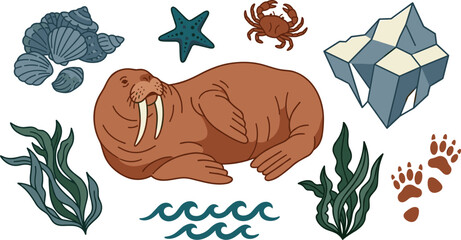 Cute Walrus Vector Set with Marine Elements Including Seaweed, Iceberg, Crab, Starfish, Sea Shells, Waves, and Paw Prints © MinnatunAkter
