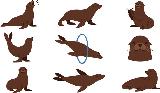 Cute Sea Lion Vector Character Set in Various Poses Including Barking, Clapping, Swimming, and Jumping Through Blue Hoop