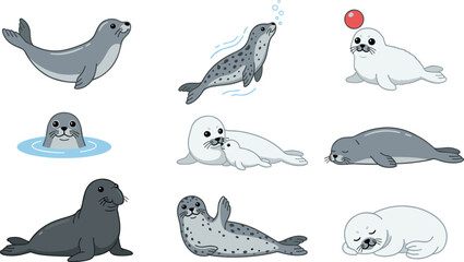 Cute Seal Character Set in Various Poses Including Swimming, Sleeping, Playing with Ball, and Mother with Pup Vector © MinnatunAkter