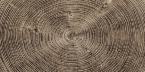 Abstract Natural Tree Ring Wood Texture Background © Anamika