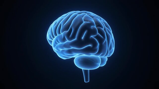 "Glowing blue digital brain rendering, highlighting folds and cerebellum, symbolizing neural complexity, science, and advanced cognition."