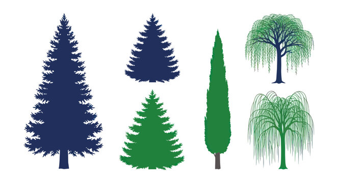 Diverse Tree Silhouettes: Evergreen, Cypress, and Weeping Willow
