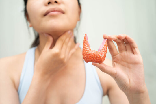Hyperthyroidism, Overactive Thyroid, Thyroid Lymphoma, Asian woman with thyroid gland human anatomy model.