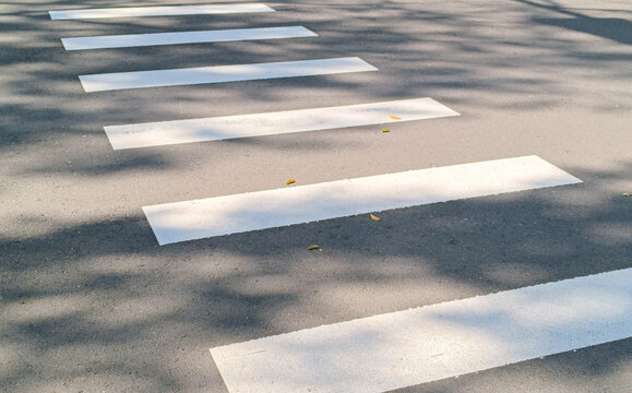 Zebra Crossing on Asphalt Road