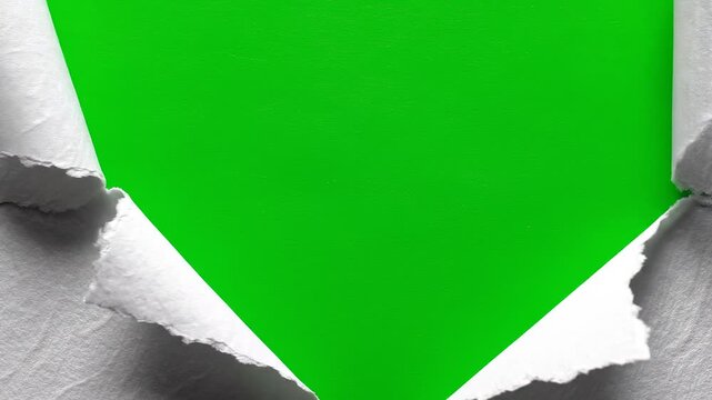 White Textured Torn Paper Reveal with Green Screen Background