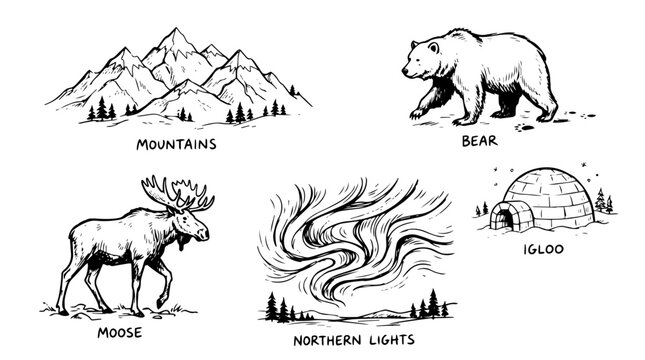 Northern Wilderness Vector Illustration Set | Black and White Nature Sketches | Editable Graphic for Wildlife, Adventure, and Arctic Exploration Projects