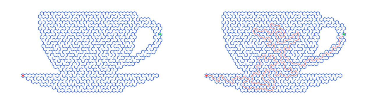 Maze challenge with answers. Maze for kids activity