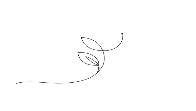 Animated self drawing Continuous line drawing Minimalist floewer leaf, line art, simple illustration, elegant design element