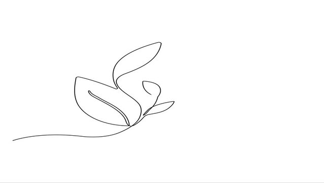 Animated self drawing Continuous line drawing Minimalist leaf illustration, simple line art, botanical design, elegant graphics
