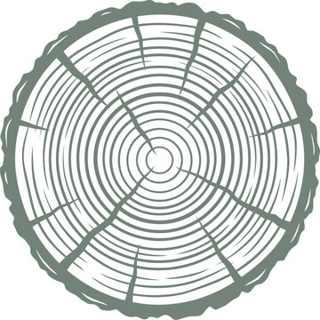 vector can be editable Circular wood slice showing annual growth rings and bark texture