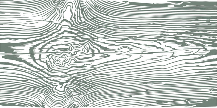 vector can be editable Detailed timber wood grain pattern showing knots and growth rings