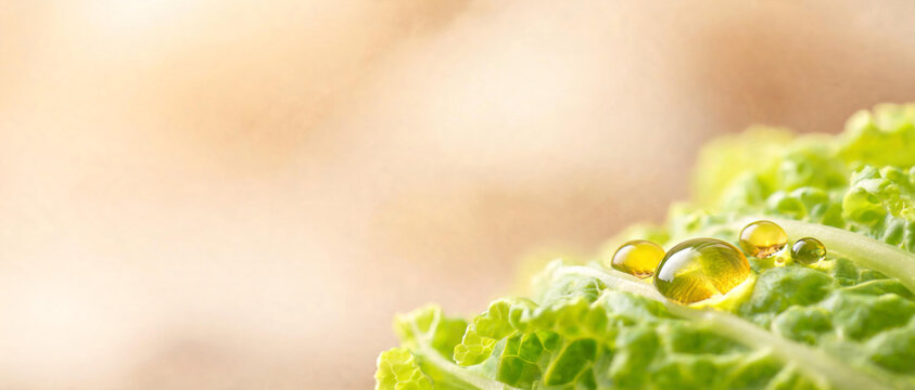 Close-up of a green savoy cabbage leaf with shiny drops of vegetable oil against a soft blurred background.