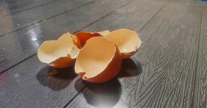 broken egg shell