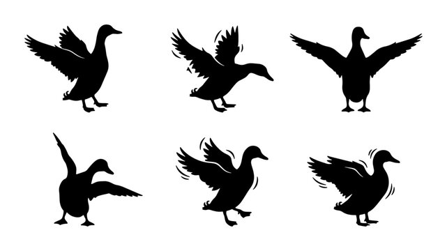 Six Silhouette Duck Poses, Vector Animation Sequence, Bird Wing Flapping and Walking Motion Graphics, Black and White Wildlife Graphics