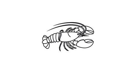 Fototapeta premium Line Drawing Lobster Illustration on White Background