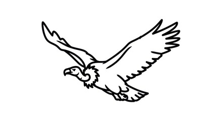 Fototapeta premium Minimalist Black and White Line Drawing Eagle Soaring With Spread Wings on Clean Background