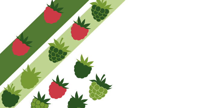 An illustration featuring a diagonal pattern of red and green raspberries on green stripes, with ample white space.