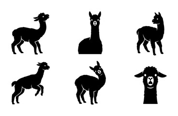 Llama and Alpaca Silhouettes, Vector Icons Set: Diverse Poses of South American Camelids for Graphic Design and Animal Illustration © Tasmia