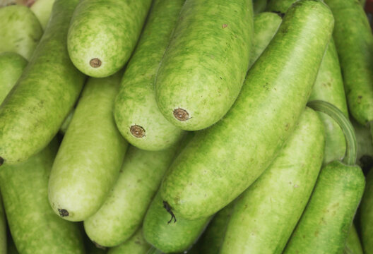 Many fresh winter melons close up	