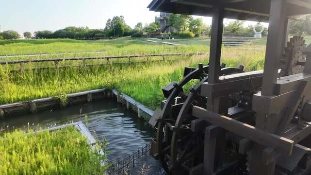 Traditional wooden water wheel turning in a green field at Kasumigaura Sogo Park under soft evening light