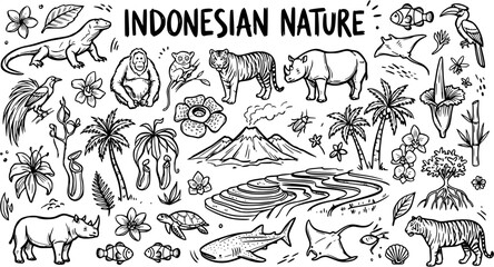 Indonesian Nature Black and White Line Art Doodle - Animals, Plants, Volcano, Water © victoria