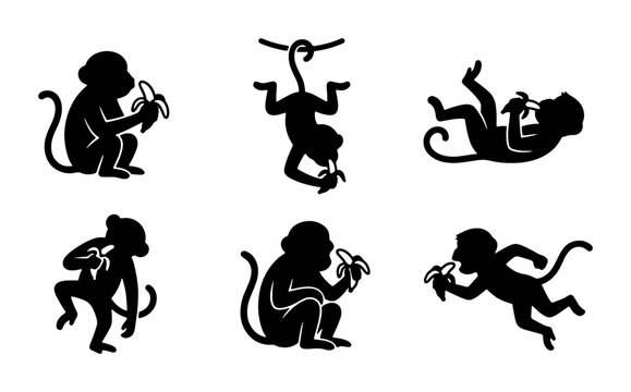 Monkey Silhouettes Vector Set, Primate Animal Poses, Jungle Creatures Eating Bananas, Playful Wildlife Graphics, Black and White Vector Icons