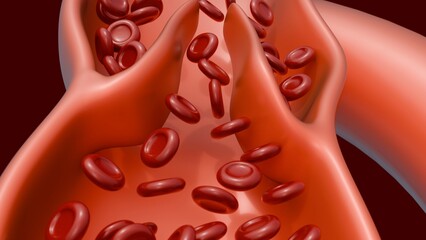 A 3D medical illustration of cross-section of a vein with working bivalve leaflets, demonstrating red blood cells flowing smoothly through the open valve structure. © Love Employee