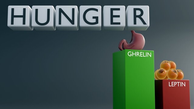 A 3D rendering of ghrelin and leptin hormone columns features a comparative bar chart, the hormonal regulation of appetite. and tiles spelling "HUNGER" on a background.