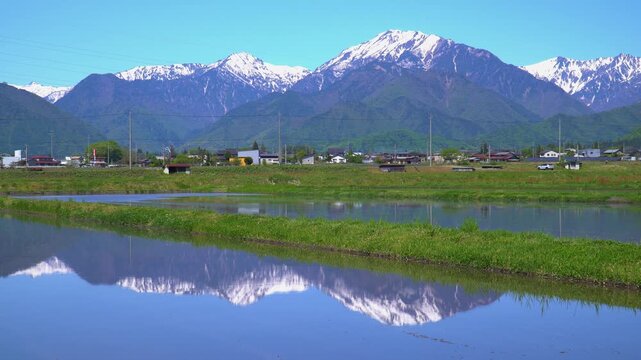 田植えシーズンの田んぼと北アルプス（長野県大町市）