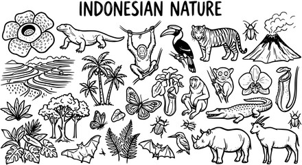 Indonesian Nature Black and White Line Art Vector: Animals, Plants, Volcano, Terraces © victoria
