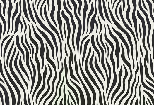 Black and White Zebra Stripe Pattern Background stripes