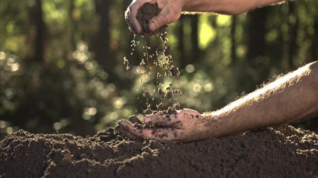 Earth and environment protection theme. Fertile soil in hands. Gardening and ecology. Earth in Hands Eco Concept. Soil in Human Hands Outdoors. Human Hands with earth in nature.