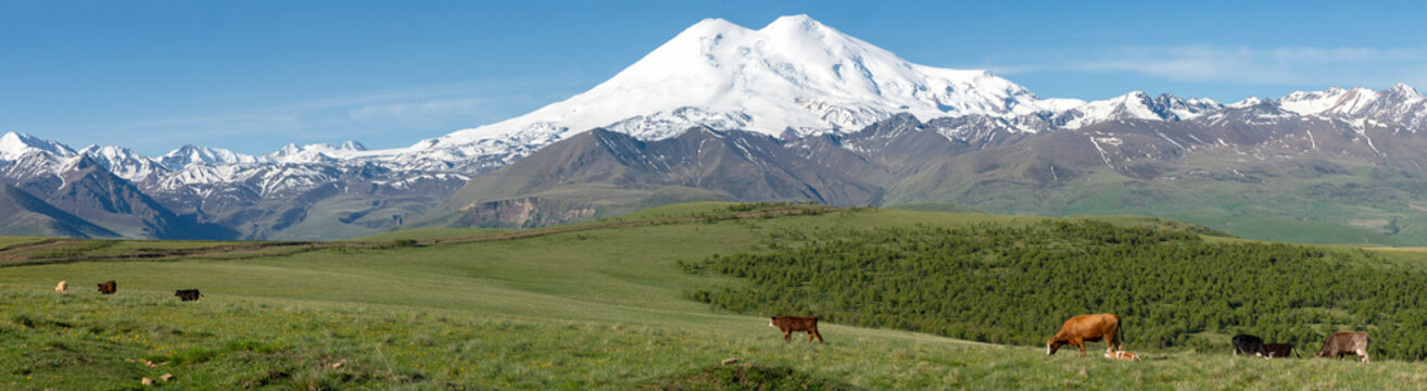Scenic view of the Elbrus region. Kabardino-Balkaria, Russia