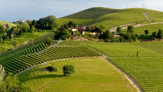 Rolling Green Vineyards and Rural Farmhouse in Piedmont Italy
