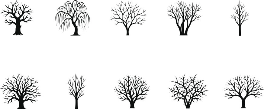 Collection of bare tree silhouettes for design and decoration