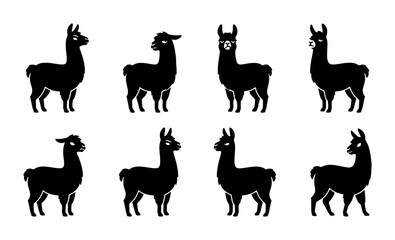 Black Llama Silhouettes Vector Set, Cute Alpaca Icons Collection, South American Camelid Graphics, Simple Animal Illustrations for Design © Tanzina