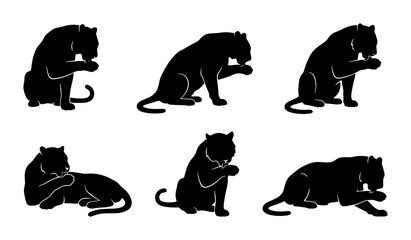 Black Panther Silhouettes Vector Set, Wild Cat Poses Collection, Elegant Feline Graphic Elements, Animal Illustration Pack © Khaled
