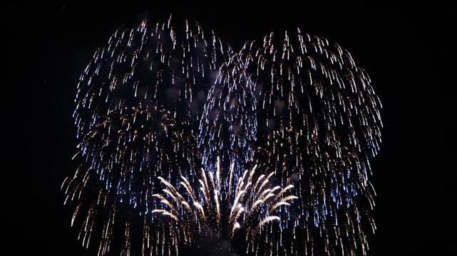 Colorful fireworks burst in the night sky, showcasing vibrant blue and gold patterns, illuminating the darkness during a festive celebration or holiday event