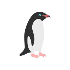 Obraz premium vector drawing Adelie penguin, Pygoscelis adeliae isolated at white background, hand drawn illustration