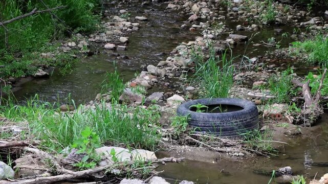 Camera panning to an old car tire dumped in a pristine forest stream, concept of environmental pollution