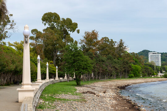 Morning on the shore of the Black Sea. The resort town of Gagra. Republic of Abkhazia