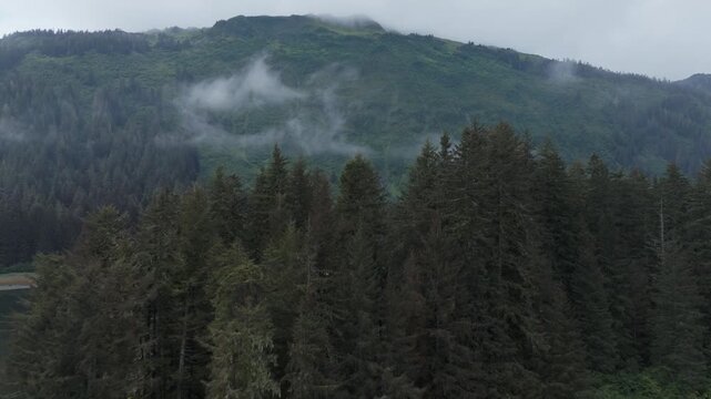 Neka Bay Wilderness Alaska Drone Aerial View