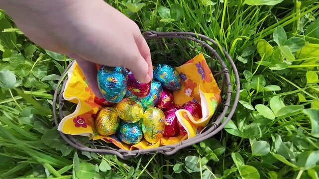 Une main d&eacute;pose les &oelig;ufs de P&acirc;ques dans un panier. Une chasse aux &oelig;ufs dans une prairie printani&egrave;re ensoleill&eacute;e, les enfants cherchent les chocolats dans l'herbe verte pour c&eacute;l&eacute;brer cette f&ecirc;te. 