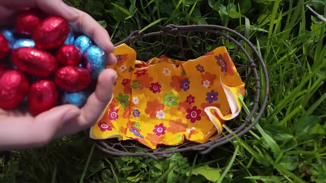 Une main d&eacute;pose les &oelig;ufs de P&acirc;ques dans un panier. Une chasse aux &oelig;ufs dans une prairie printani&egrave;re ensoleill&eacute;e, les enfants cherchent les chocolats dans l'herbe verte pour c&eacute;l&eacute;brer cette f&ecirc;te. 