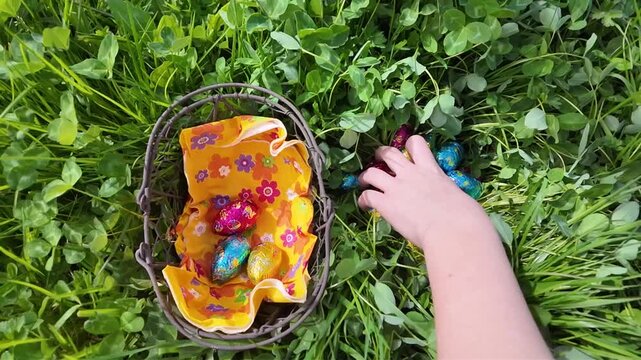 Une main d&eacute;pose les &oelig;ufs de P&acirc;ques dans un panier. Une chasse aux &oelig;ufs dans une prairie printani&egrave;re ensoleill&eacute;e, les enfants cherchent les chocolats dans l'herbe verte pour c&eacute;l&eacute;brer cette f&ecirc;te. 