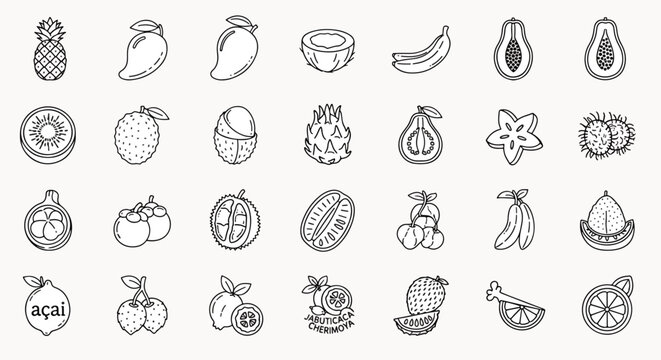 Collection of Tropical Fruits Icons and Symbols, Including Pineapple, Mango, Coconut, Banana, Papaya, Starfruit, and Acai